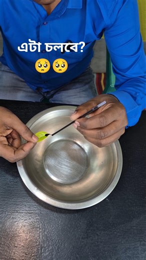 পাতা দিয়ে নৌকা তৈরি করলাম 🥺🤣 #test #experiment #magic #scienceexperiment