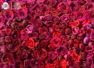 5.8K views · 167 reactions | Today we're throwing it  to Ohio State in the 1969 Rose Bowl This afternoon at 2 p.m. come right here  for a live stream of the entire game ️ More info: go.osu.edu/69RoseBowlStreamInfo #GoBucks #TBT  | Ohio State Buckeyes | Facebook