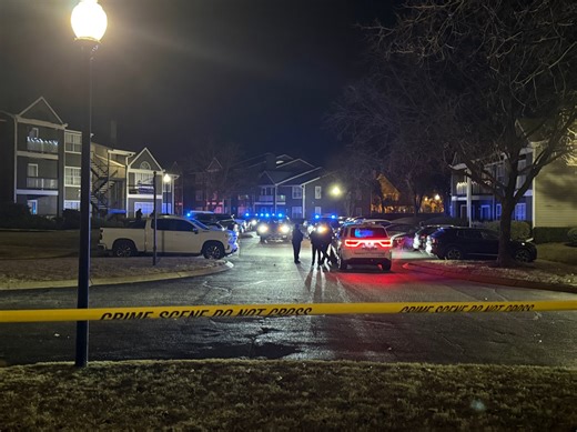 Naked woman kicks in door, police shoot at dog in Mud Island incident