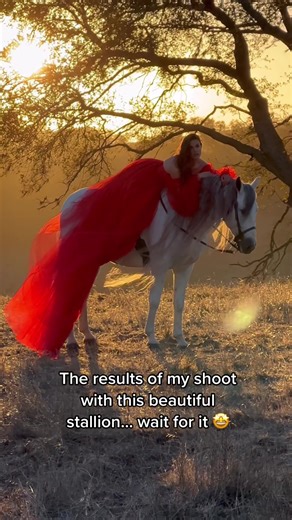 Equestrian Model Photoshoot with Majestic Andalusian Stallion