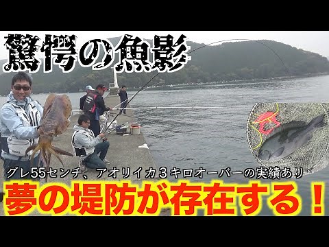 【三重県・某堤防でのグレ釣り】なんと！！40オーバーのグレの数釣りが出来、更に50オーバーグレが高確率でヒットするスーパードリーム堤防。