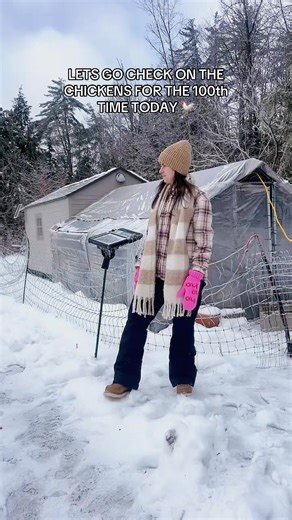 A day after the NH ice storm and 15 degrees outside means lot of layers and checks on the chickens 🐓 #exploremore #outdoors #newenglandweather #coldweather #fyp | CC Homestead Life