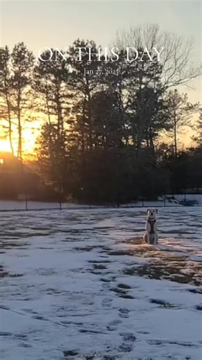#onthisday