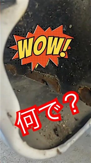 I took a look at the underside of the front fender.