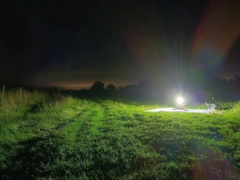 Moth trapping - Besthorpe NR October 1st 2025