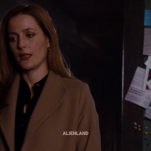 as it was… #thexfiles #thexfilesedit #msr #foxmulder #danascully