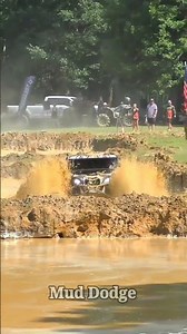 Bunty’s Crazy Hole Jump Into Deep Mud Water! 😱 | #shorts