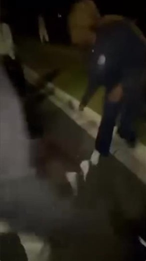 Teen girl charged and bailed over bloody Deer Park brawl