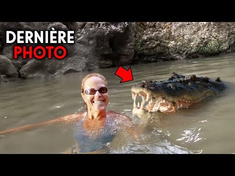These 5 Karens Eaten Alive by Deadly Animals!