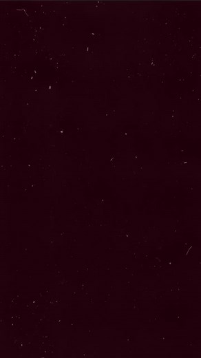🎞️ | Felm Over