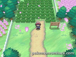Pokemon Volt White Download, Informations & Media - Pokemon NDS ROM Hacks