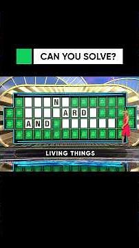 This Puzzle and the Zoo Have a Lot in Common! 😉 | Wheel of Fortune