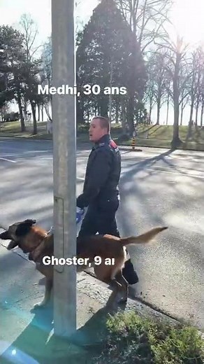 Maître chien, ou aussi dit agent cynophile: un métier passion #sécurité #protectas