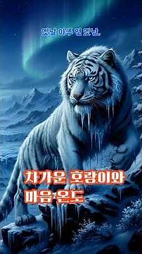 차가운 호랑이와 마음 온도#황금주머니 #전래동화 #설화 #민화 #민화도#호랑이설화 #한국전통설화