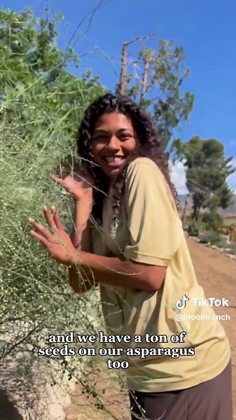 Discover What Grows Inside Lavender Plants