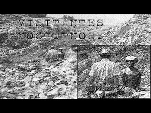 Extraterrestre (Gris). Captado en video.