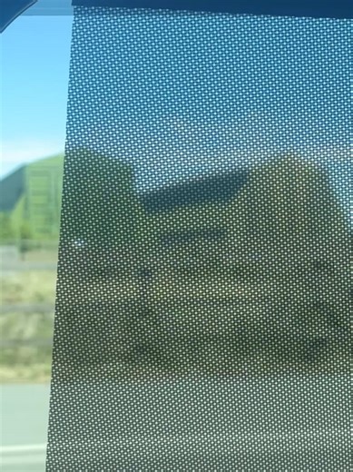 #fyp #dlaciebie #onedirection #longhairharrystyles #liampayne #harrystyles #louistomlinson #zaynmalik #niallhoran