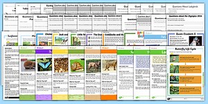 KS1 English Reading Comprehension Bumper Resource Pack