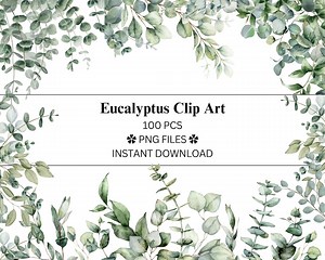 Eucalyptus PNG Clip Art Bundle | Watercolour Eucalyptus Set | Frames | Transparent Background | for Planners & Journals | Commercial Use - Etsy