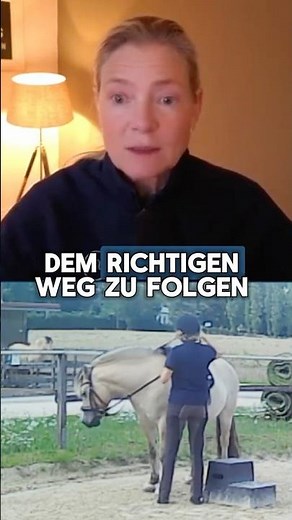 Is your horse stressed? Here's how to avoid stress hormones.