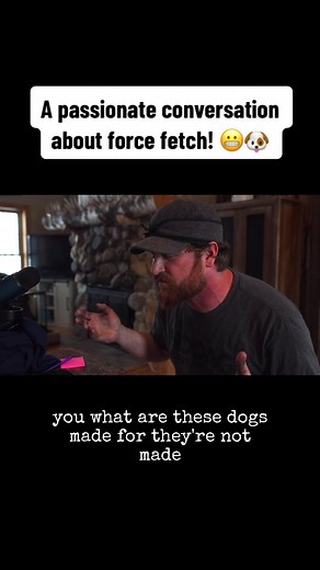 Passionate Force Fetch Conversation with Bob Owens | Dog Training Tips