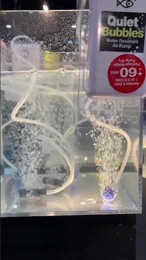 Introducing the Quiet Bubbles Aerator Pump