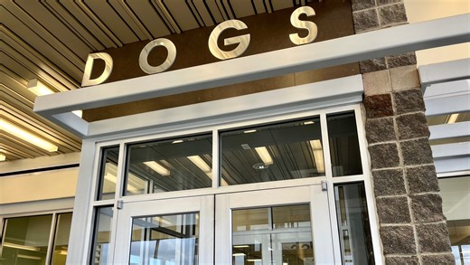 Lubbock City Council working to address dangerous dog situation, but disagrees on how