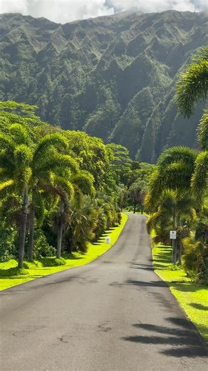 Such a beautiful entrance into Hoʻomaluhia Botanical Garden 🌱 Have you been here? 🎥: @itsbecmunro 📍: Oahu, Hawaii #oahu #oahuhawaii #hawaii #botanicalgardens | Hawaii's Best Travel