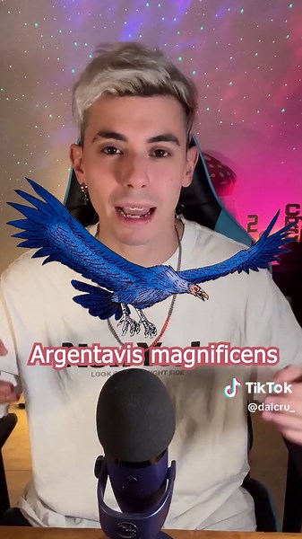 Argentavis: El Pájaro Gigante de Argentina
