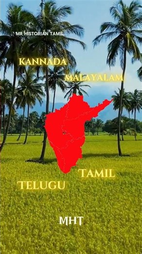 Which Language is High in SOUTH INDIA🤯❓ #shorts #tamil
