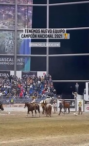 El Quevedeño campeón Aguascalientes 2021, nuestro capitán Enrique Ramírez, brindándole el campeonato a Don Antonio Echevarría Domínguez y a Toño Antonio Echevarría García . #puroquevedeño | Rancho El Quevedeño