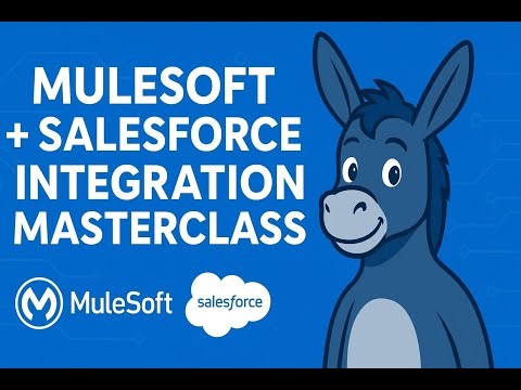 Create Custom Object in Salesforce Portal