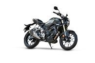 Honda CB300R User Reviews, Ratings, Experts Opinion & Experience @ ZigWheels