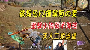 被魏轻F2撞昏的麦丨蜜蜂小狗战术掏裆丨Mike天人二鸡连播