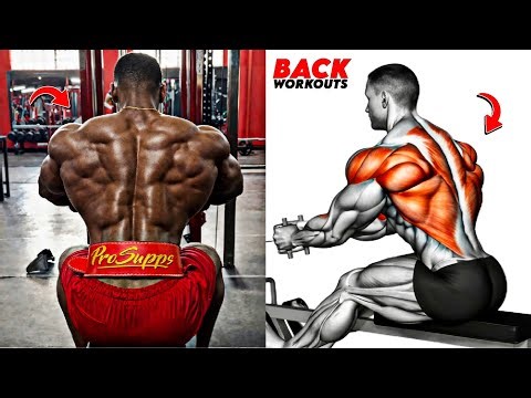 8 Best Back Exercises For Massive Width, Thickness & Strength 🔥
