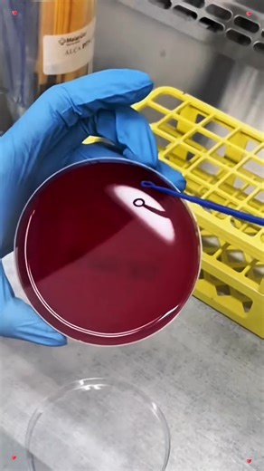 Cosplay Mess on TikTok