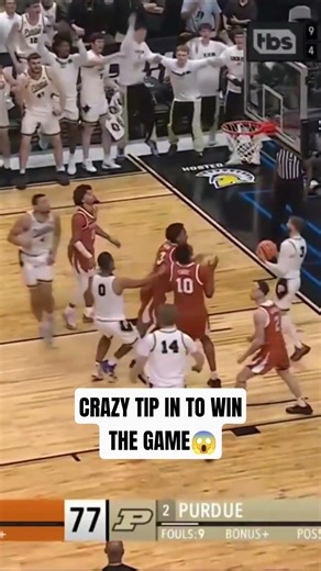 Tip In Game Winner! #basketball #viral #collegebasketball