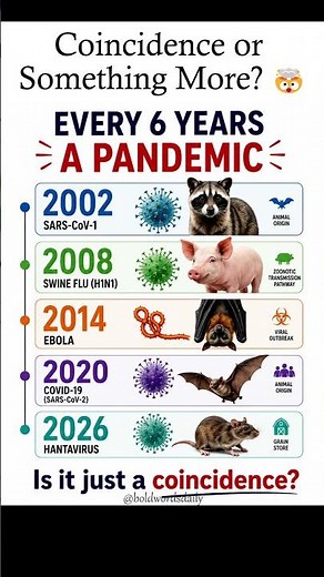 Explore surprising pandemic timelines and interesting historical patterns 👀🌍