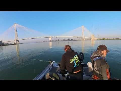 Jigging for Walleye on the Detroit River September