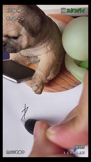 毎日「わかる」って言ってる気がする