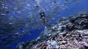 Womens Wetsuit 2mm Smooth-Skin Neoprene Wetsuit with Front Zipper Springs Bottom One-Piece Long Sleeve Swimsuits for Women Diving Surfing Snorkeling