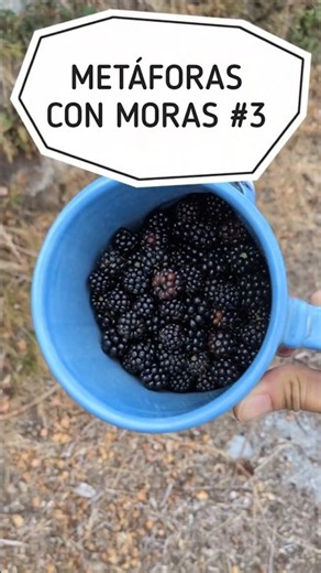 The worst writing advice | Blackberry metaphors #3