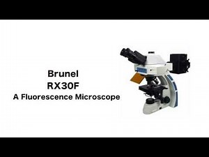 Setting Up the Brunel RX30F