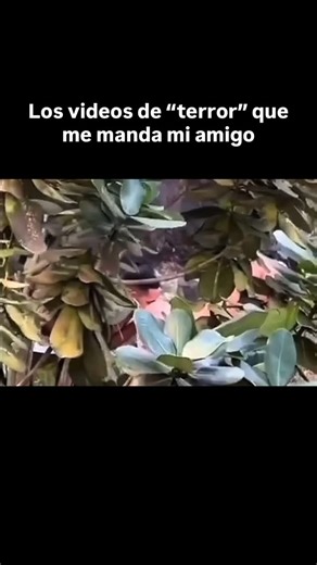 Humor paranormal 👻 | #humor #meme | Instagram