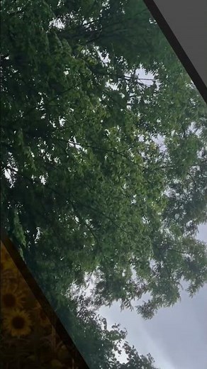 Diary 2: Spring rain - Shortversion 4 #asmr #rain #asmrrain #naturesounds #relax #ambientsounds