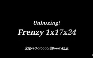 迷你红点瞄准镜？9mm至少能抗一千发？700多元的VectorOptics就是这么牛!