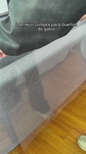 Amazing Cat Gifts from TikTok Shop