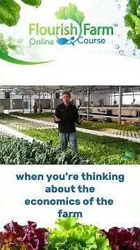 How Commercial Hydroponic Farms Grow Plants in Deep Water Culture (DWC)