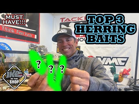 Top 3 Lures to Imitate Blue Back Herring: Tips and Techniques