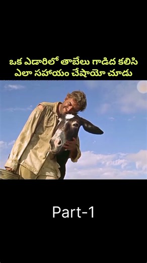 ఒక ఎడారిలో తాబేలు గాడిద కలిసి ఎలా సహాయం చేషాయో చూడు #expline #dubbing #Shortvideos